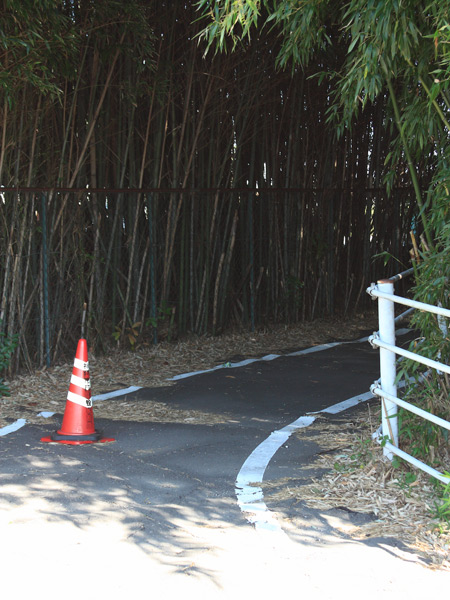 神出山田自転車道