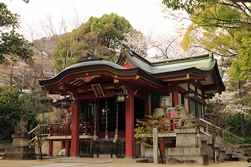 さくら 岡本八幡神社