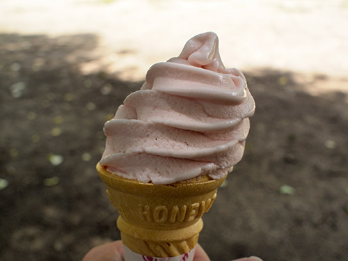 須磨離宮公園 バラソフトクリーム