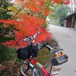 京都大原、紅葉探訪1