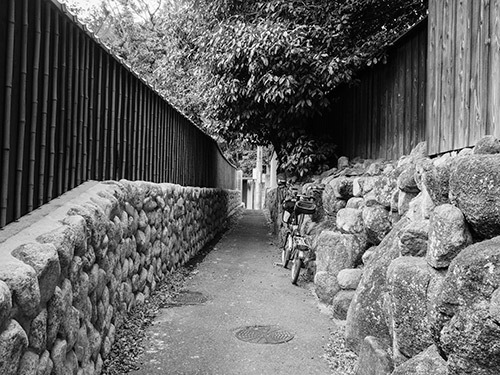 竹垣の道