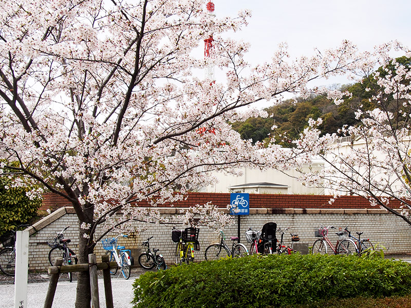 神戸市 水の科学博物館 駐輪場