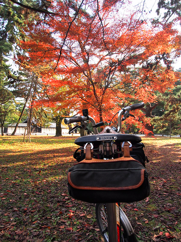 京都御所 紅葉 2015