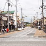 三ツ塚の花菖蒲と福知山4