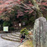 続・京都紅葉下見