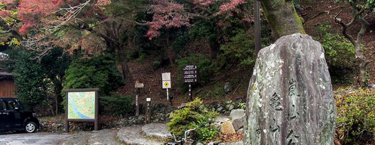 嵐山公園 亀山地区 2017