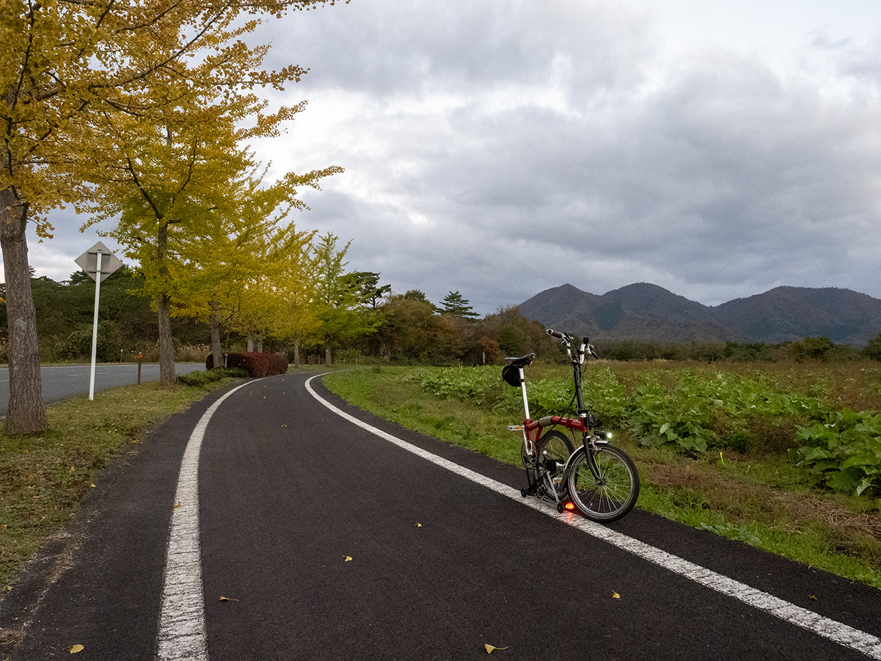 蒜山高原自転車道 2021